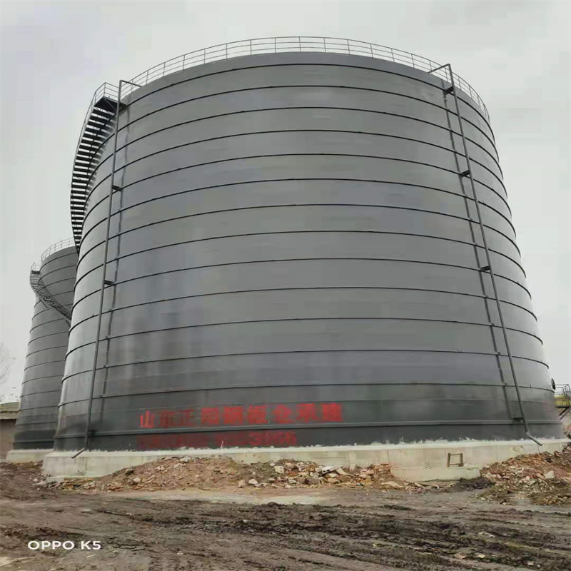 坡心镇3万吨大型钢板库